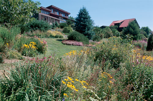 Kate designed organically shaped beds that undulate through the terraced hillside, planted with evergreens, shrubs, and perennials. She built up the thin soil by growing cover crops such as buckwheat and winter rye, then tilling them into the soil as green manure.